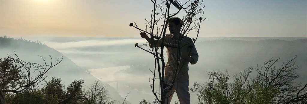 Concerto para uma árvore & 7 Poemas para um Mundo Novo 