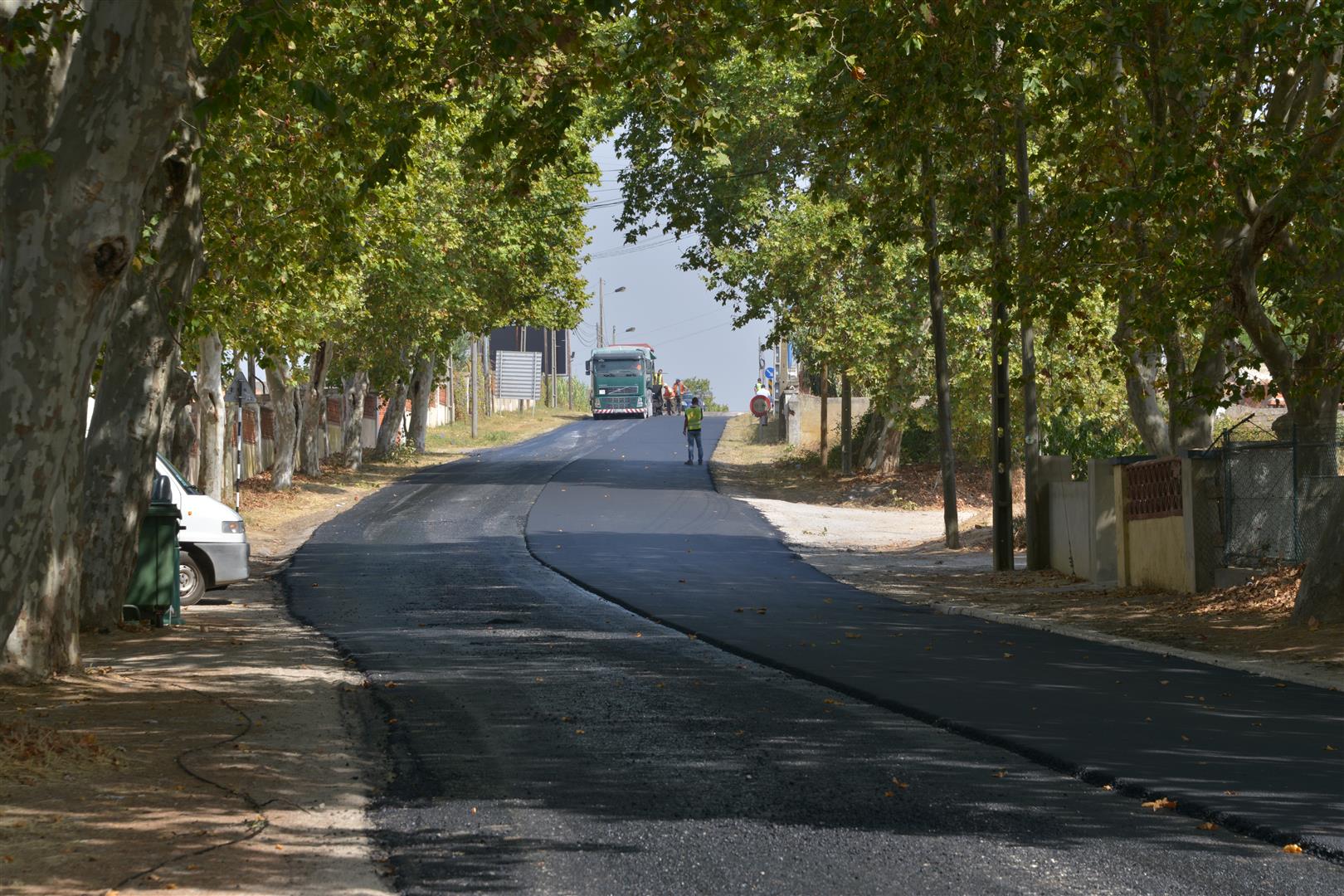 pavimenta__o_rotunda_isidoro_1