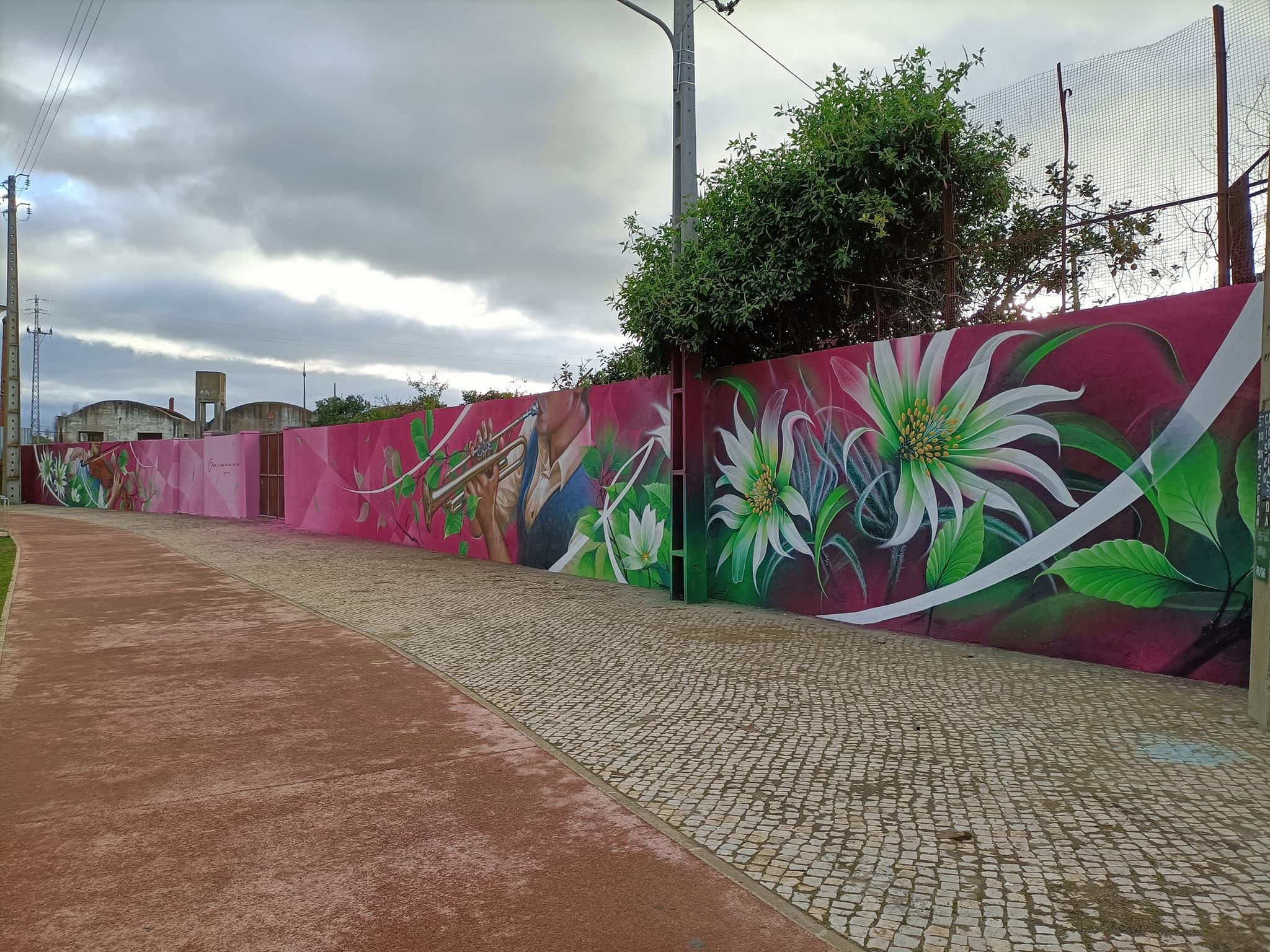 326533399_486863033633491_1490485006781330948_n