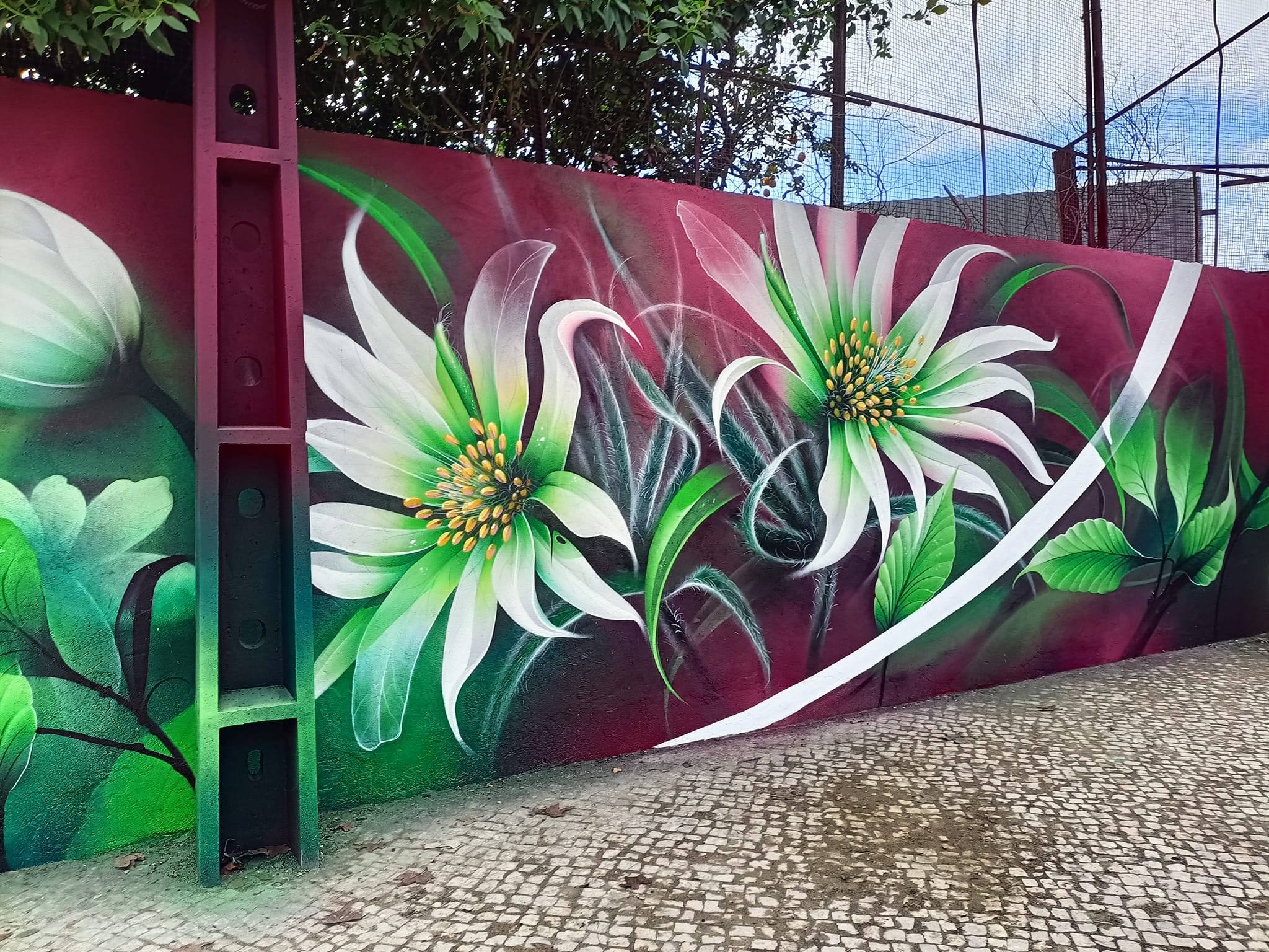 326393613_707602384187634_4173634489983485941_n