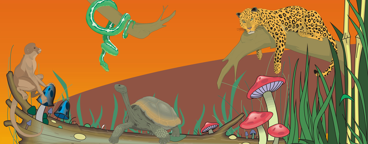 Hora do Conto | 1,2,3... um conto de cada vez