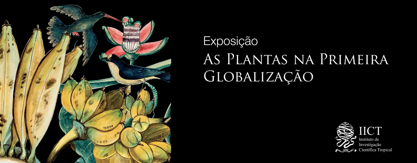 As Plantas na Primeira Globalização