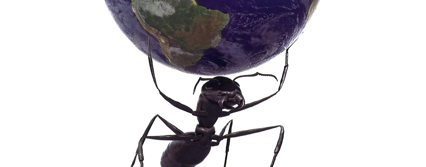 Exposição “Um Mundo de Insetos”