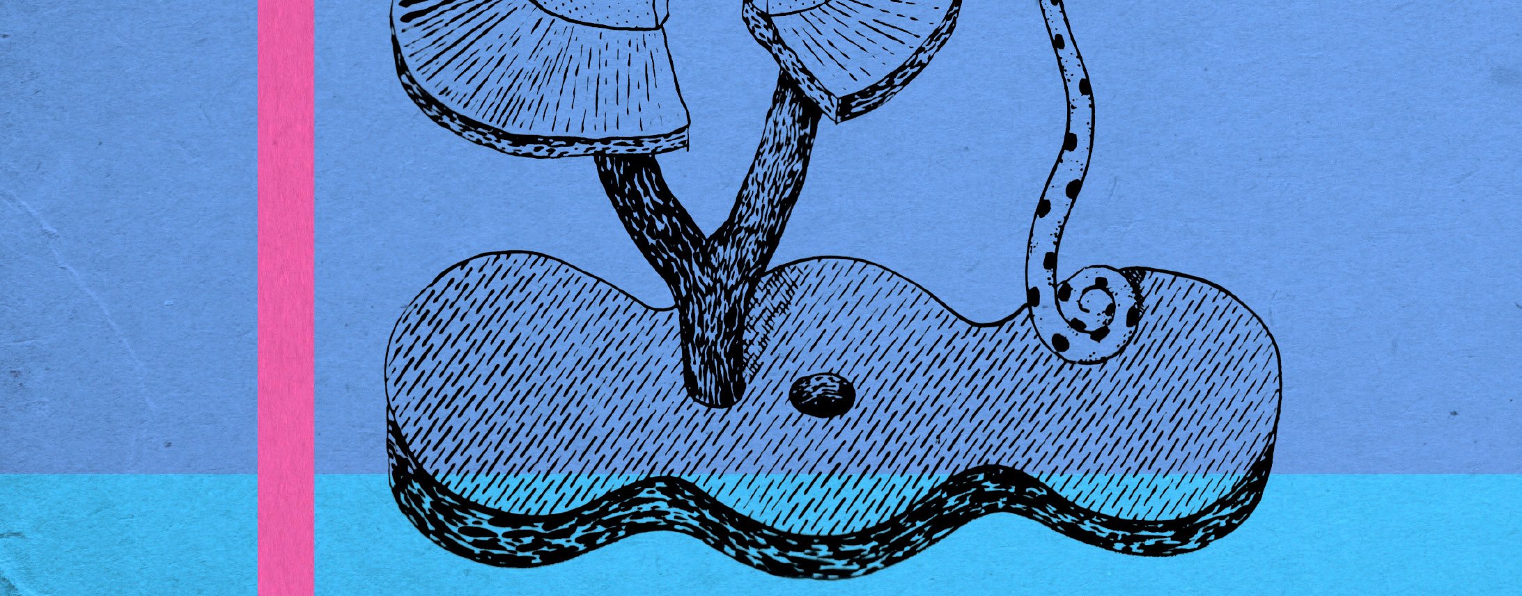 A Flauta no Século das Luzes / Música