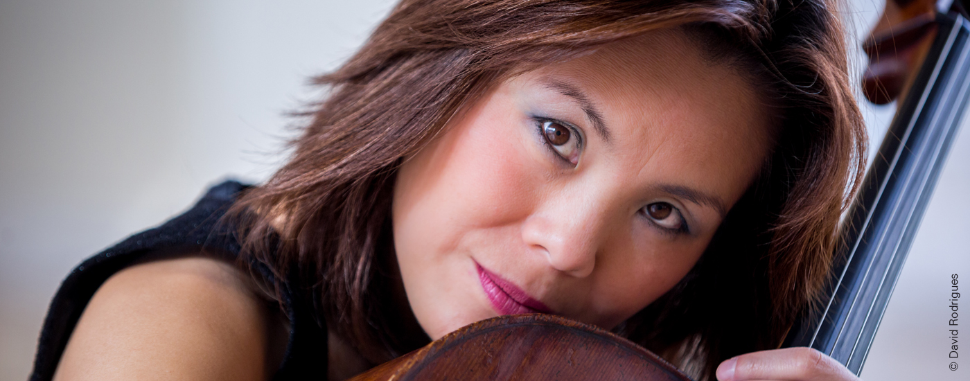 Concerto de Ano Novo | Orquestra Metropolitana de Lisboa