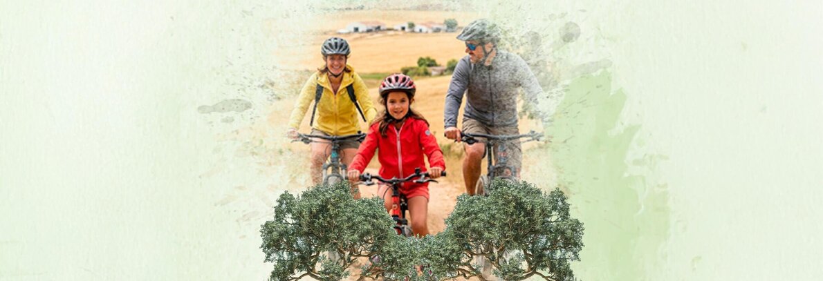 1024x350_btt2_1_2500_2500