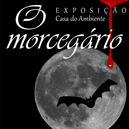 Morcegos em Exposição na Casa do Ambiente