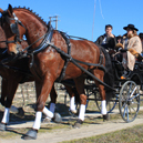 Passeio Anual de Atrelagem