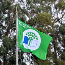 D. Pedro Varela e Jorge Peixinho conquistam bandeira verde