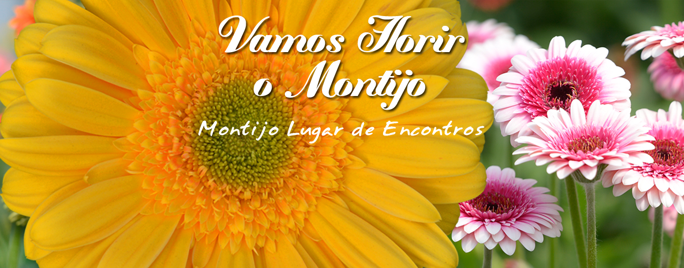 Duo Store vence Montras em Flor