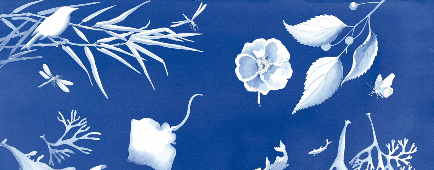 Fernanda Fragateiro na Galeria Municipal