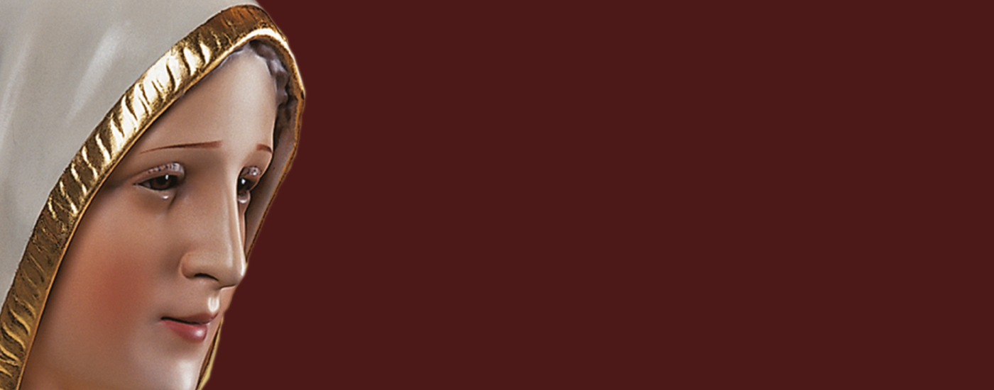 Imagem de Nossa Senhora de Fátima visitou Montijo (c/vídeo)