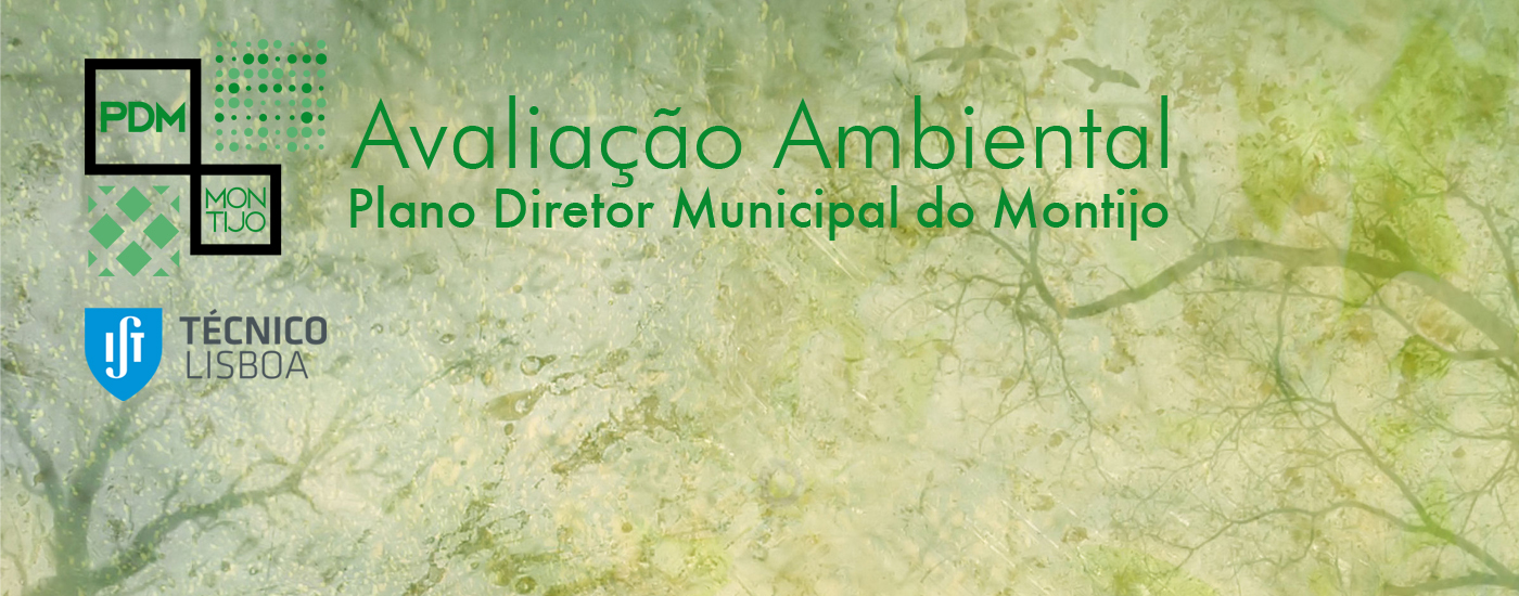 Câmara e IST desenvolvem Avaliação Ambiental do PDM do Montijo