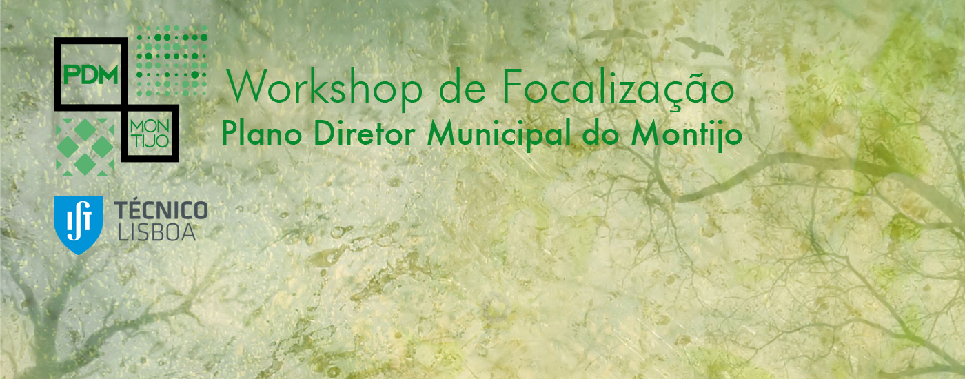 Workshop de Focalização – Revisão do PDM