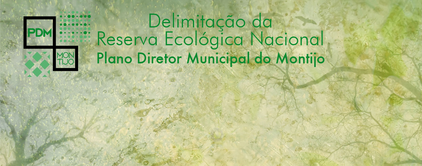 Revisão do PDM | Entregue delimitação da REN