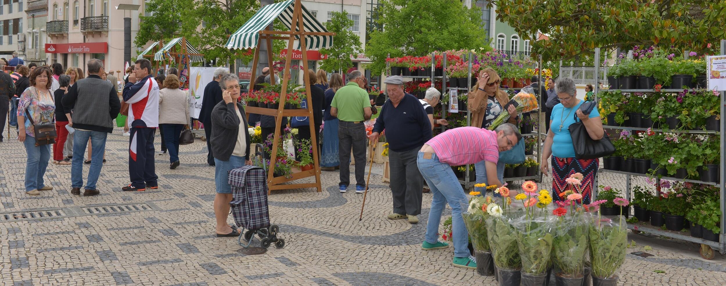 Flores voltam a marcar Montijo Lugar de Encontros (c/vídeo)