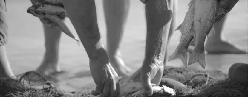 Os Pescadores – Encontro sobre o mar e as comunidades piscatórias