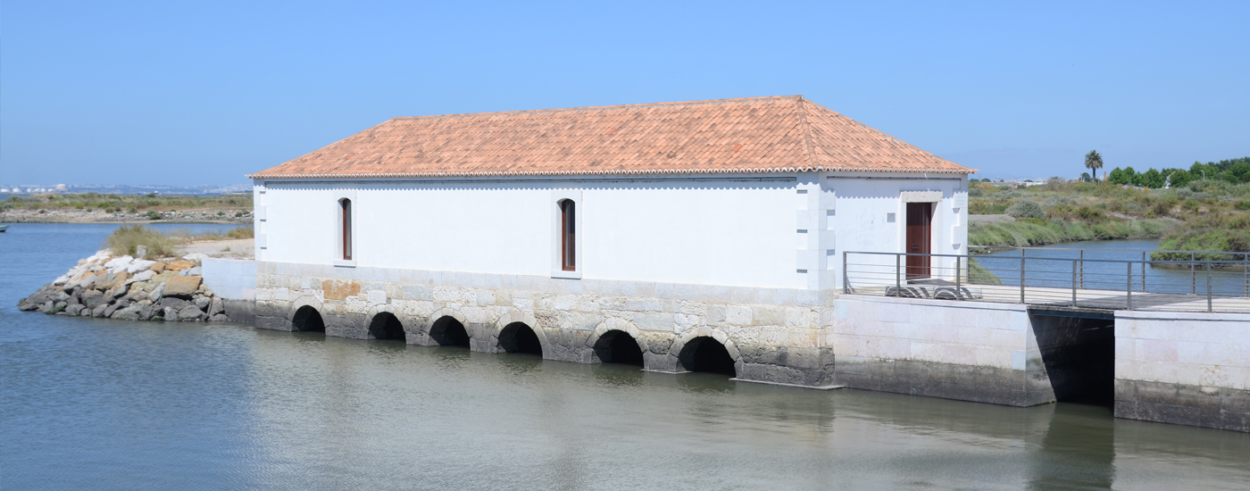 Horários | Equipamentos Municipais | Festas S. Pedro