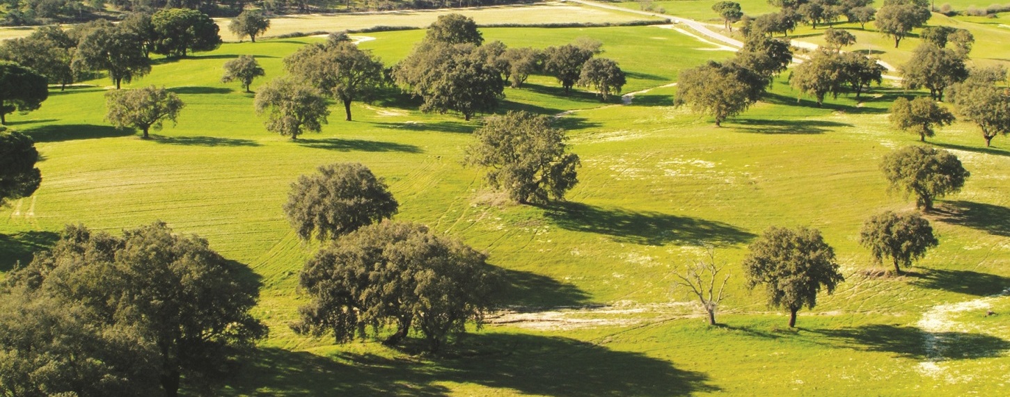 Sessão de Esclarecimento | Programa de Desenvolvimento Rural 2014-2020