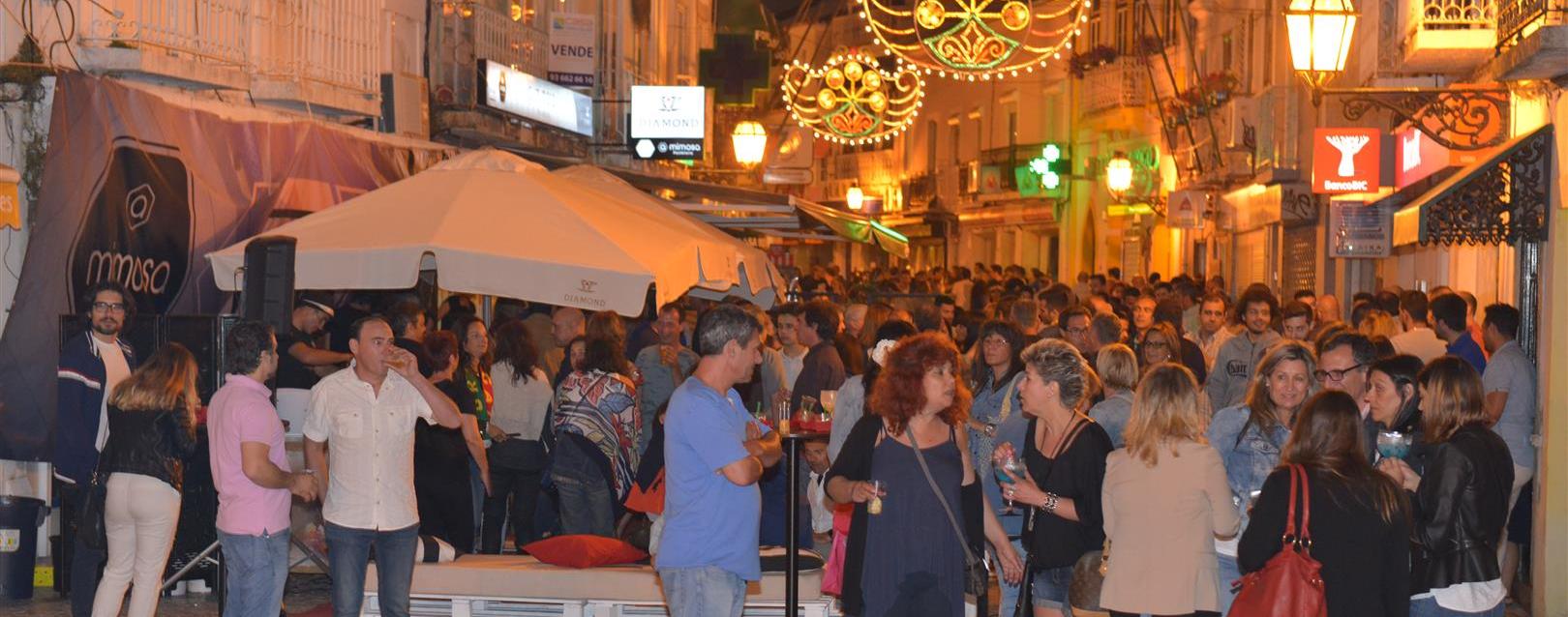 Anim’art deslumbra Montijo (c/vídeo)