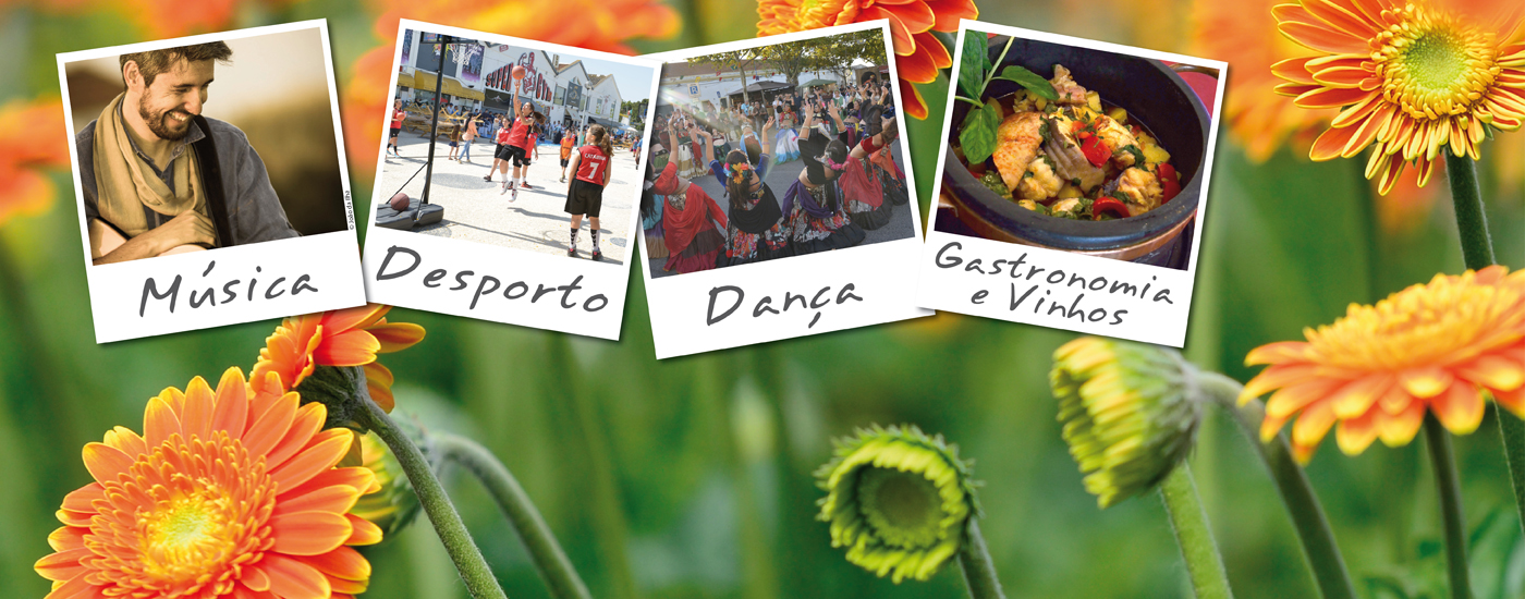 Fim-de-semana de ritmos no Montijo