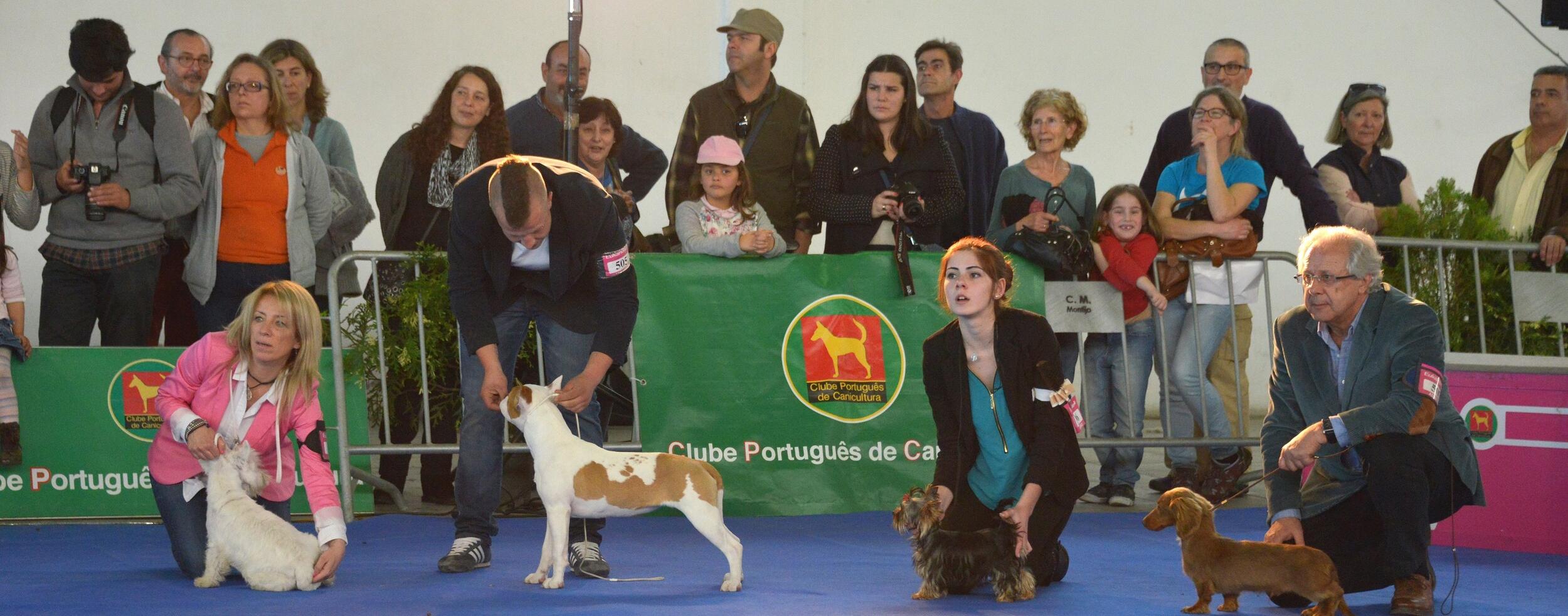 1.ª Exposição Canina Internacional do Montijo