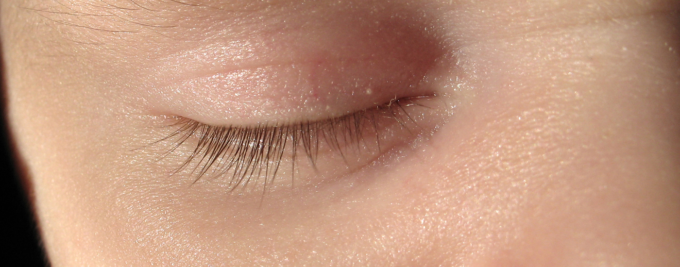 Conversas de Chá à Roda do Sono