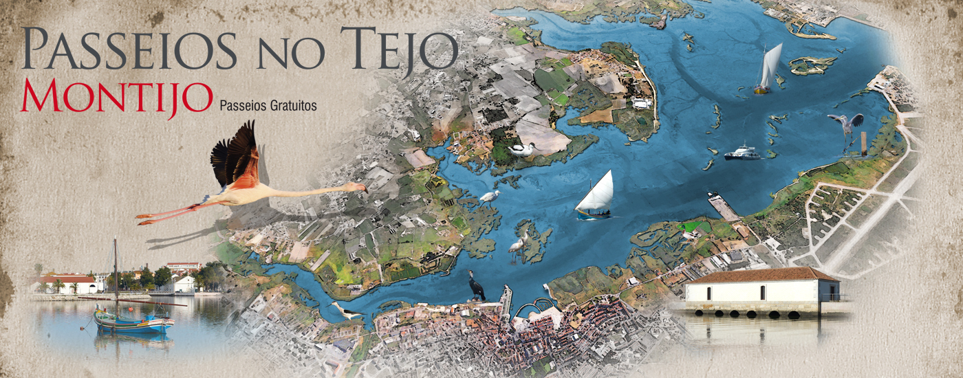 Passeios no Tejo estão de volta!