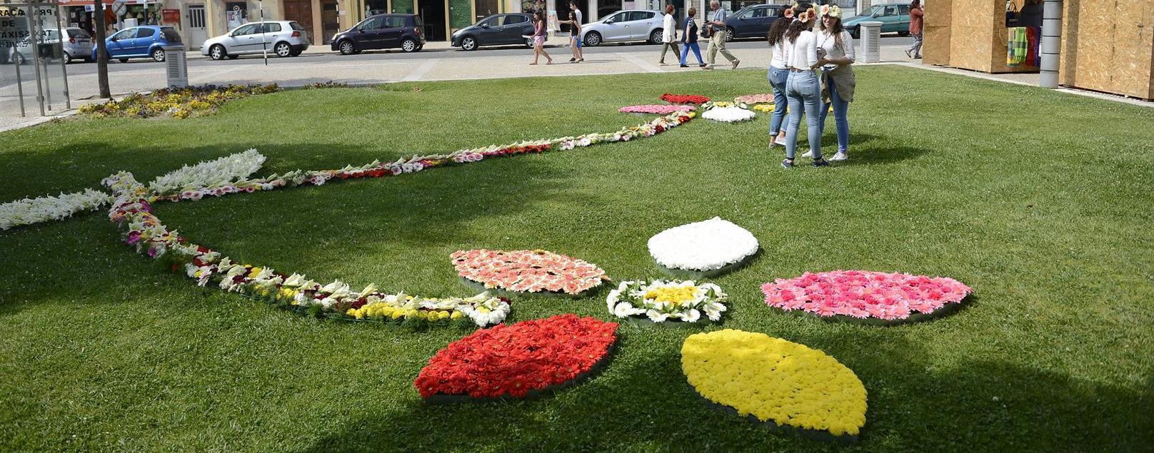 Festa da Flor animou Montijo