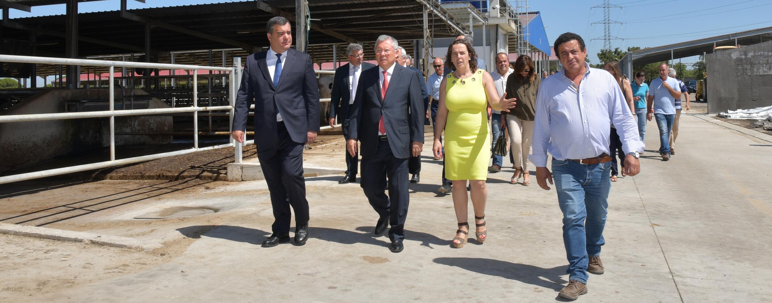 Agroleite aposta na tecnologia