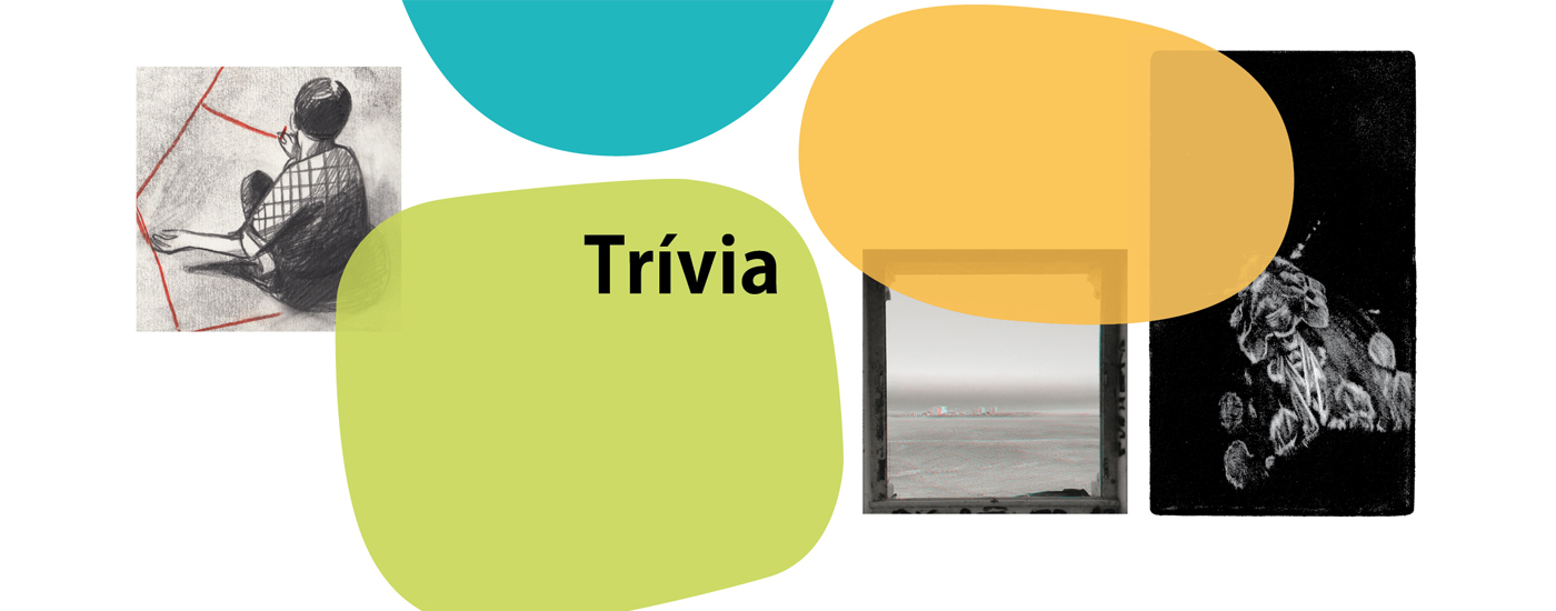 Trívia na Galeria Municipal (c/vídeo)