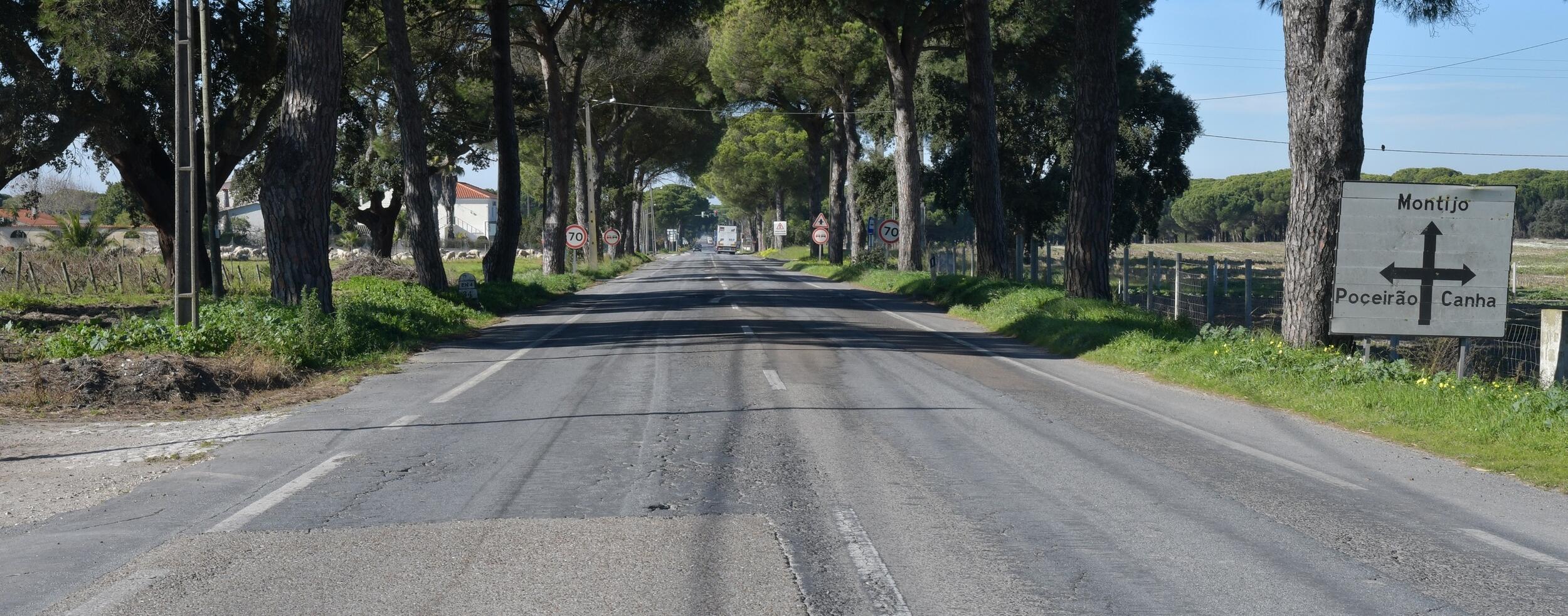 Cerimónia de consignação da reabilitação da EN4