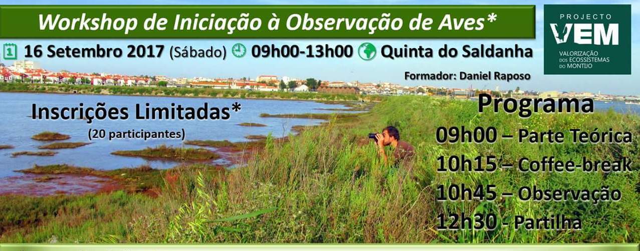 Workshop de observação de aves