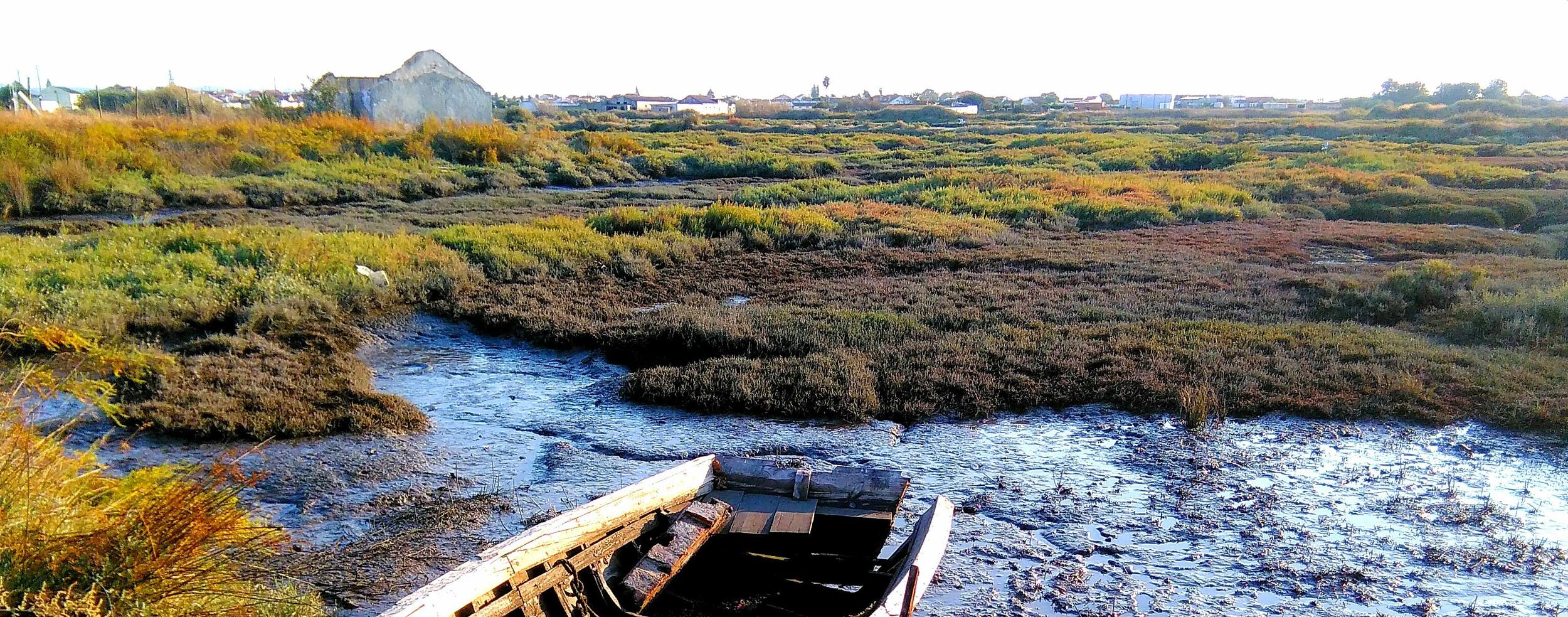 VEM organiza caminhada a Trilho dos Moinhos de Maré
