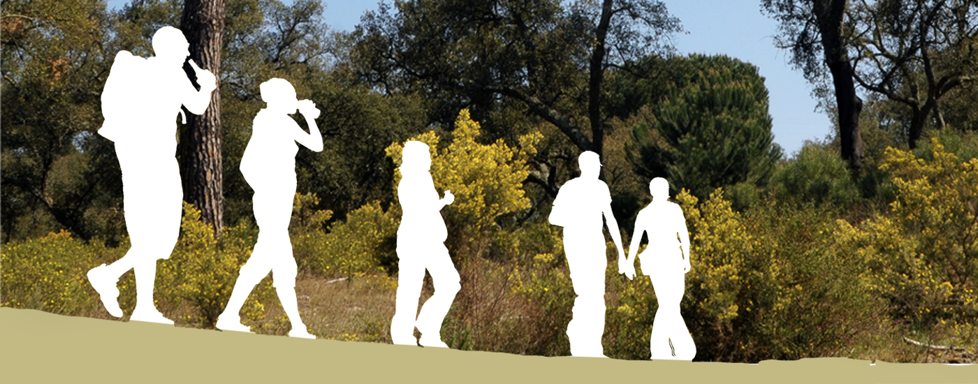 Rota Santo Isidro de Pegões