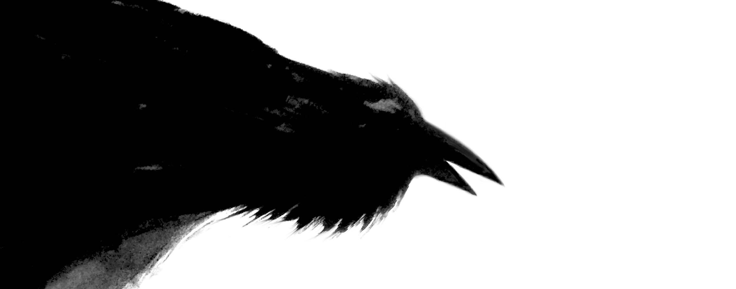 CTJA inicia comemorações com Corvo