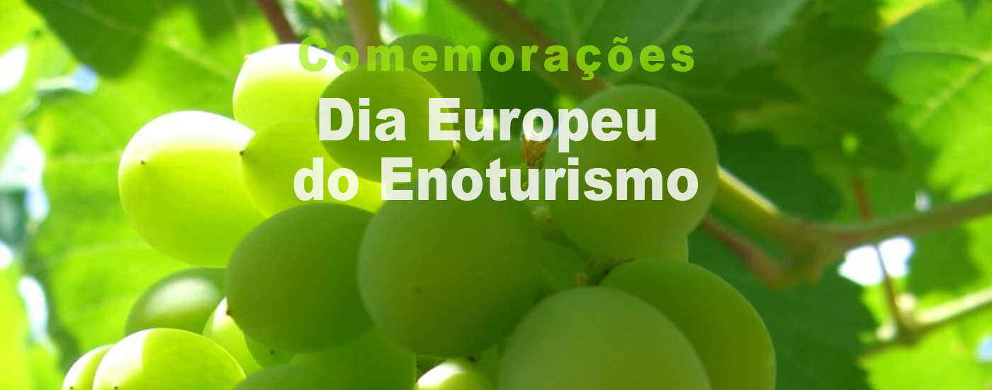 Montijo comemora Enoturismo