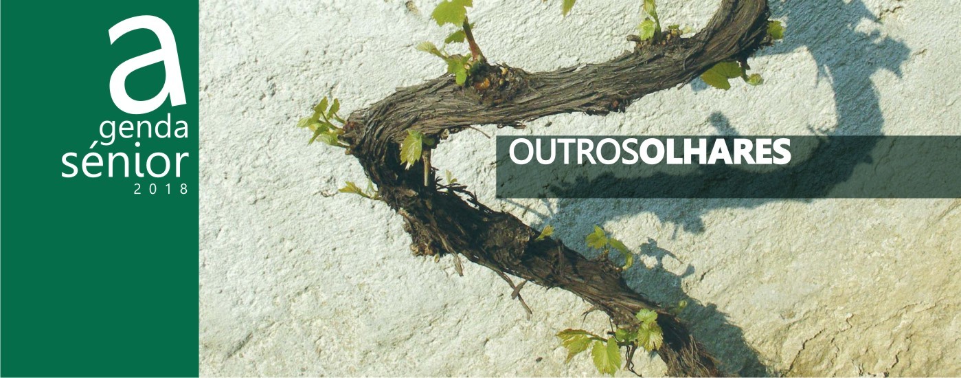 Comunicar em Segurança