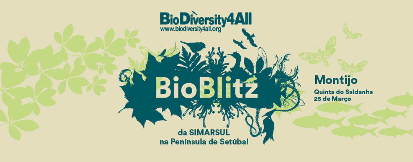 BioBlitz Montijo