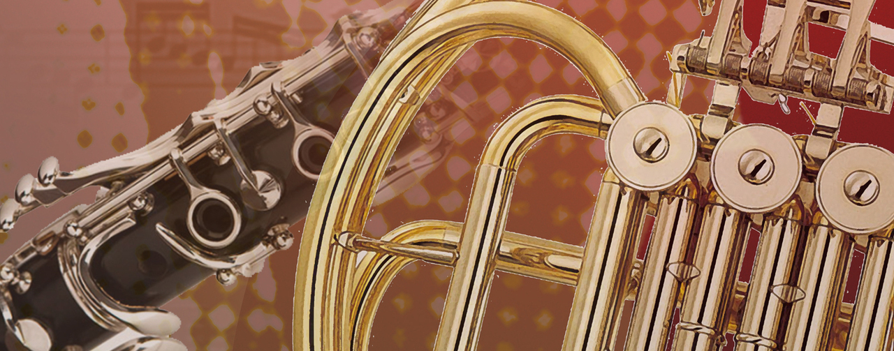 V Gala Lions Clube do Montijo