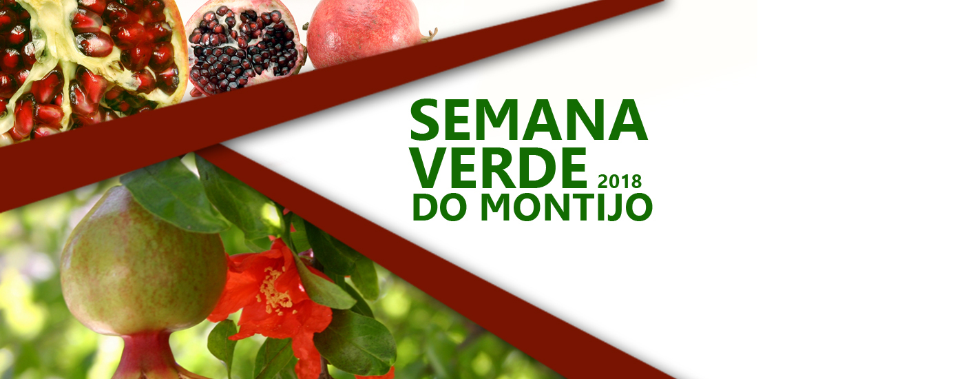 Dog Trail e Workshop Canídeos