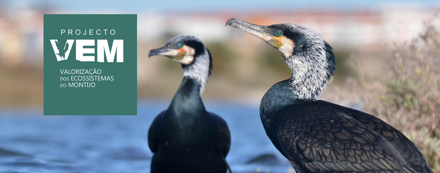 Dia Internacional da Biodiversidade