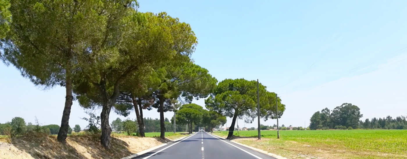 Conclusão da Intervenção de Reabilitação da EN4 entre Montijo e Pegões