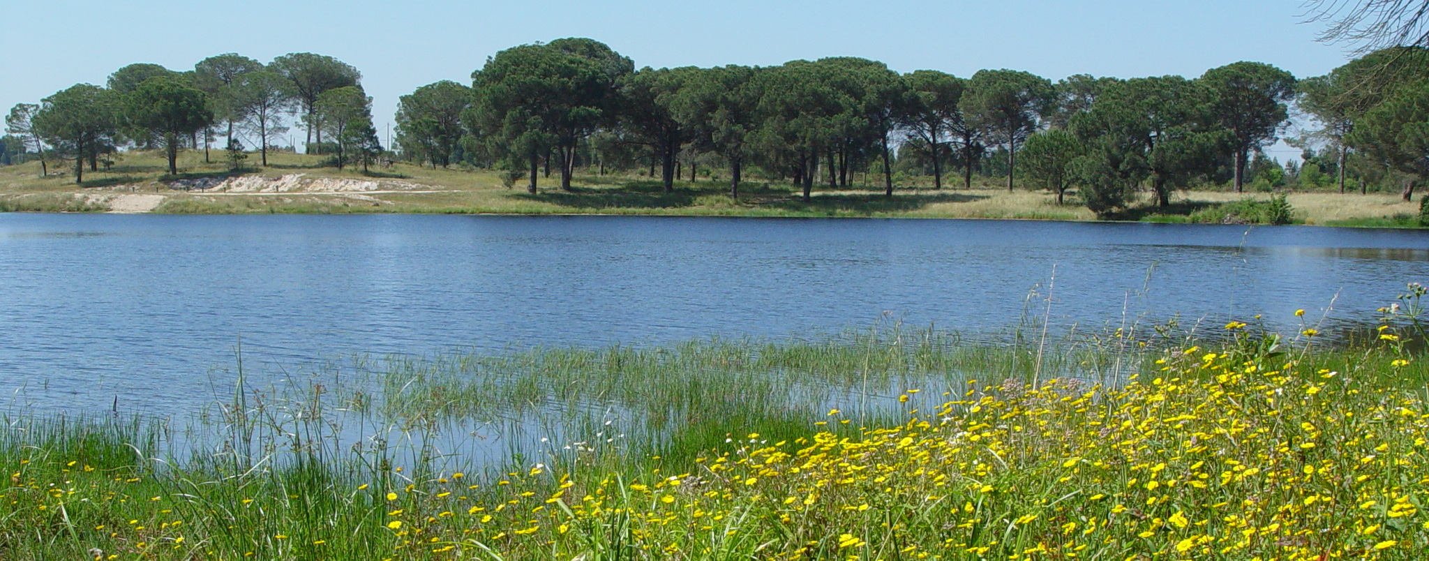 Município do Montijo apoia Sociedade Portuguesa de Botânica