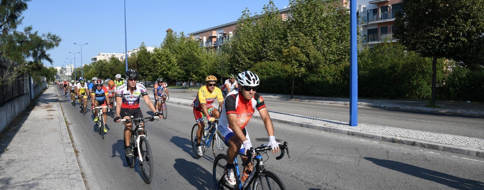 Do Afonsoeiro a Canha em bicicleta (c/vídeo)
