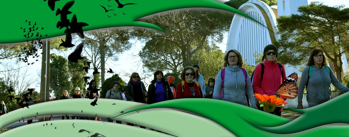 Caminhada em Santo Isidro de Pegões 