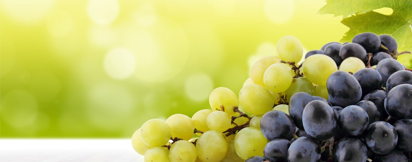 Comemorações do Dia Europeu do Enoturismo