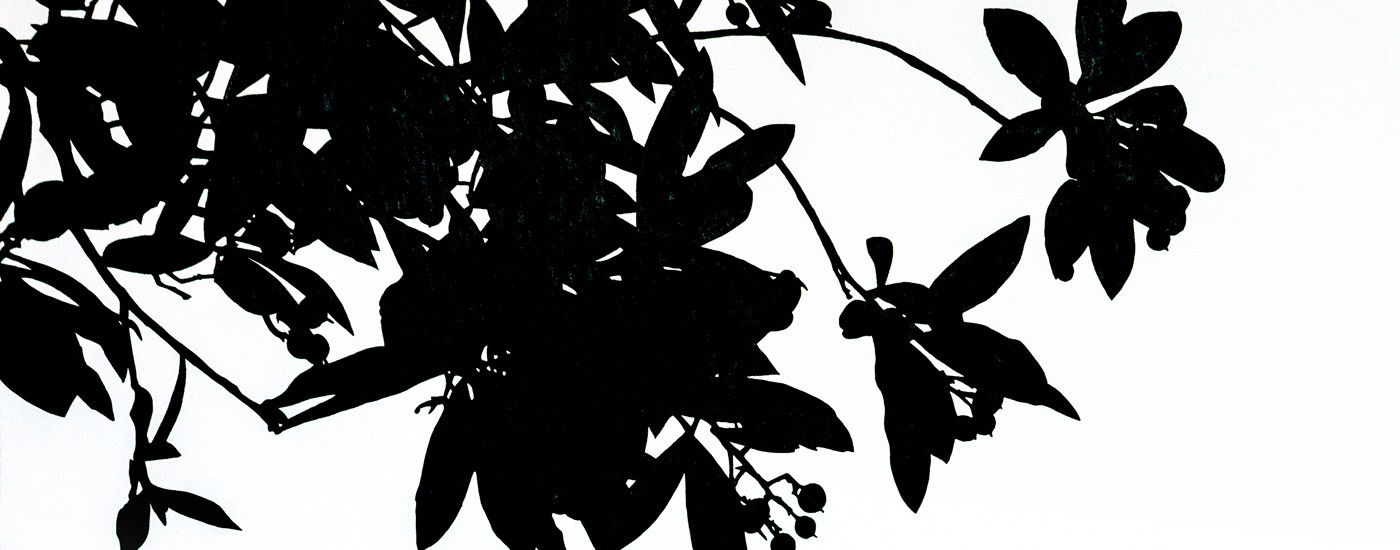 Mariana Marote apresenta “Elementa”