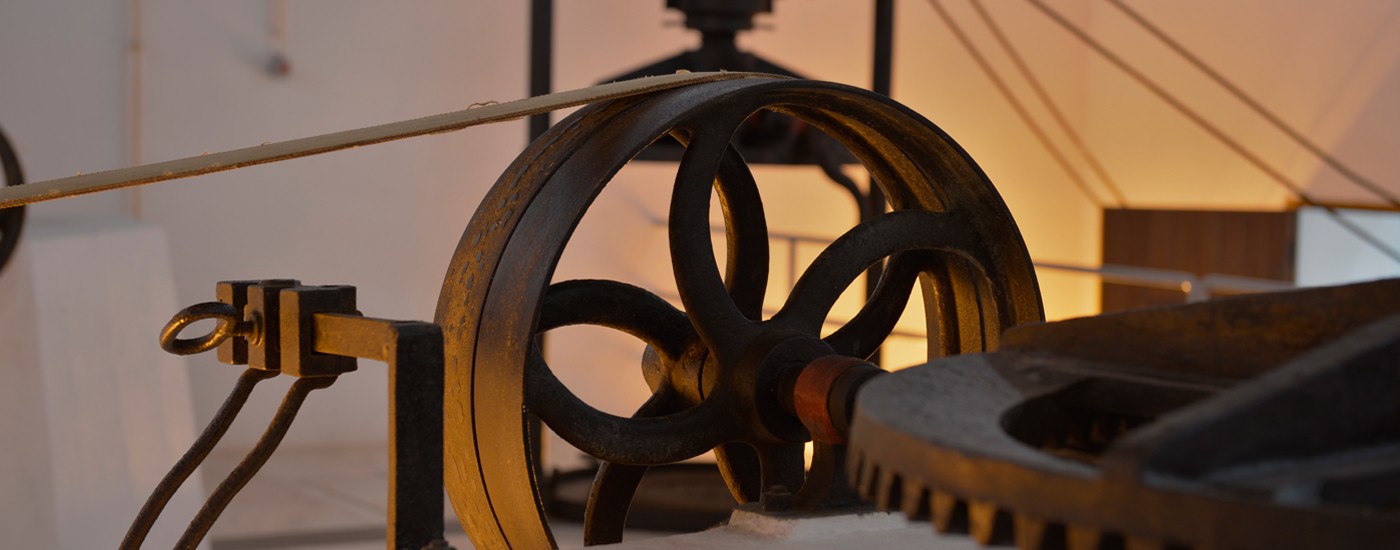 Câmara celebra Dia Mundial da Agricultura