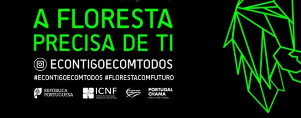 Econtigo Ecomtodos -  A Floresta precisa de ti